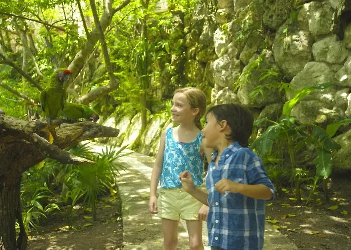 Occidental At Xcaret Destination