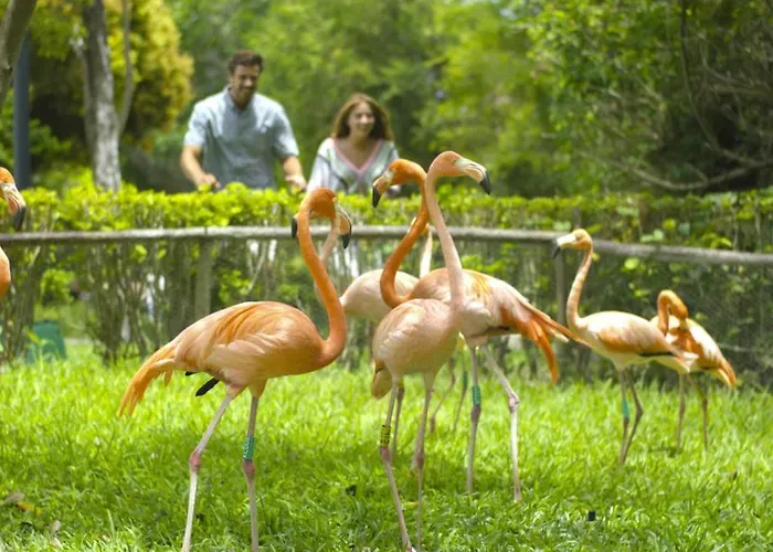 Resort Occidental At Xcaret Destination
