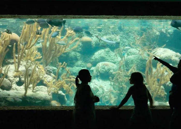 Occidental At Xcaret Destination 5* Xcaret Park